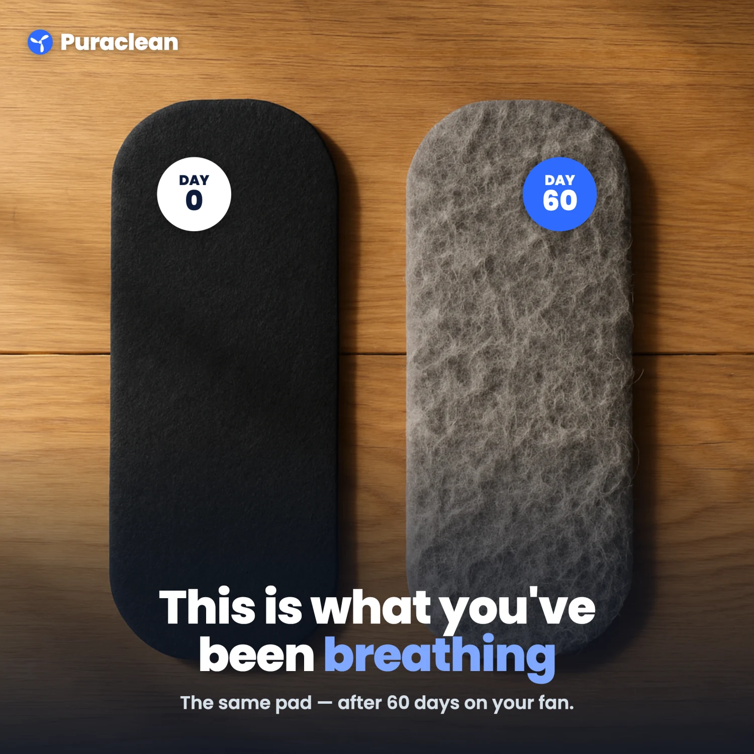 This is what you've been breathing — Day 0 vs Day 60